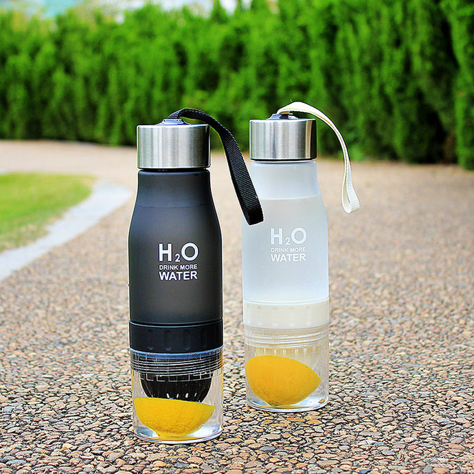 THE H20 INFUSER